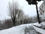 IMG_8642.jpg