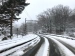IMG_8644.jpg