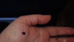 IMG-20190630-WA0009.jpeg