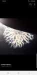 Screenshot_20190826-204832_Facebook.jpg