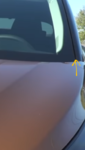 Screenshot_20210309-122547~3.png
