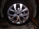 IMG_20220119_185555.jpg
