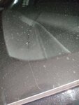 IMG_20220308_192618.jpg