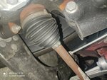 IMG_20221027_145524.jpg