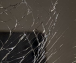 1668605979742.png