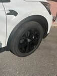 IMG_0983.jpeg