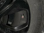 IMG_1307.jpeg