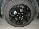 IMG_2680.jpeg