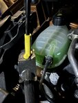 IMG_2955.jpeg