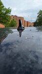 1000040296.jpg