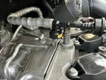 IMG_7352.jpeg