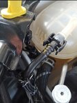 IMG_20250125_162302.jpg