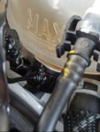 IMG_20250125_162238.jpg