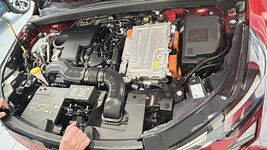 IMG_5955.jpeg