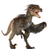 VelociCaptur